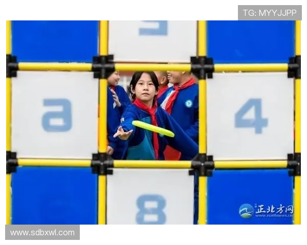 刘芳独家分享飞盘技巧与心得体会助你轻松掌握这项运动的乐趣与魅力