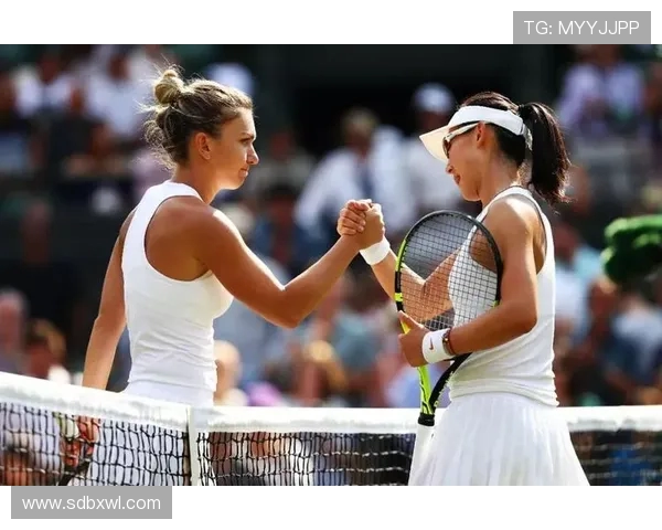 北京网球队与深圳网球队赛后复盘分析比赛节奏与战术对决的深度剖析