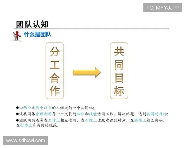 北京排球队的默契配合与战术分析：探讨排球团队协作的关键要素