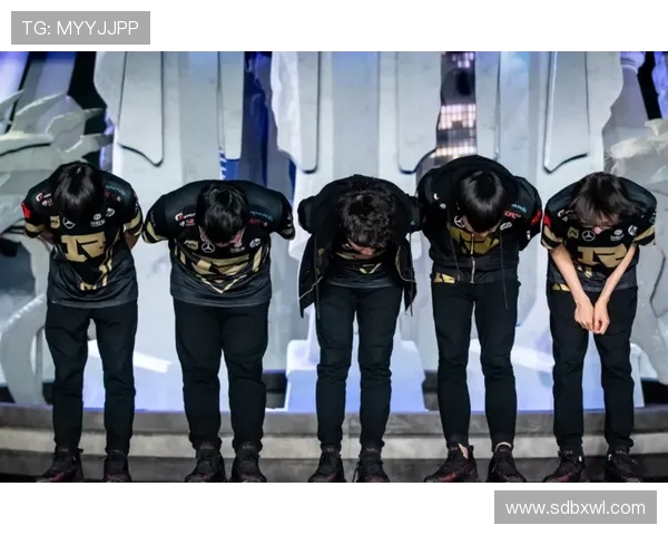 RNG战队的荣耀与挑战之路精英赛背后的奋斗与坚持