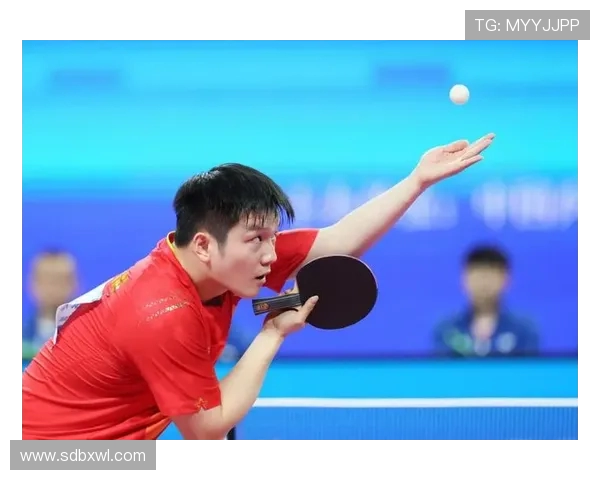 乒乓球节奏排行榜揭晓上海乒乓球队荣获第三名佳绩