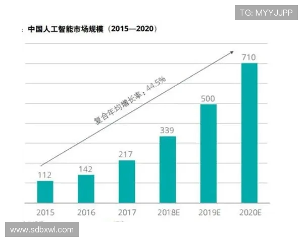 北京羽毛球队技术对比深度解析与未来发展趋势探讨