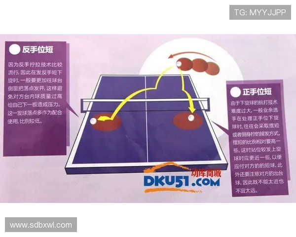 南京乒乓球队的节奏探秘与深度分析乒乓球运动的魅力与技巧