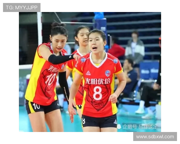 南京排球队的节奏解析与未来发展趋势探讨