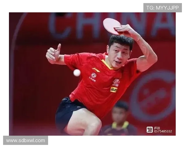 广州乒乓球队速度对比独家解析与战术分析的深度探讨