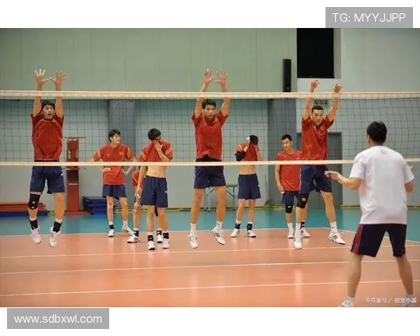 广州排球队的默契配合与战术解析探索排球竞技的团队精神与协作之美