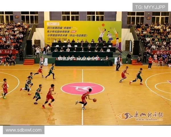 张丽独家分享篮球心得与技巧助你提升球技与比赛表现