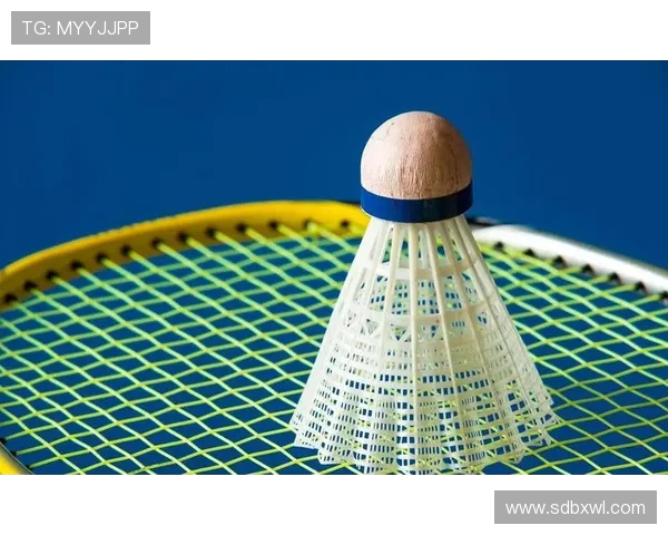 杭州羽毛球队配合表现的数据分析与战术优化研究