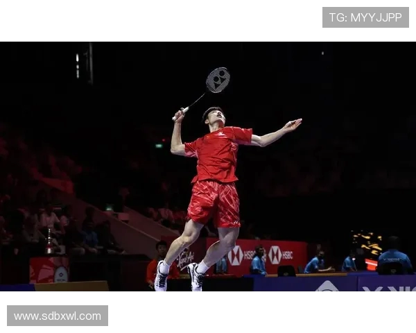 羽毛球实力榜单揭晓深圳羽毛球队荣登第八位展现强劲实力