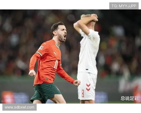 2012年欧洲杯经典对决葡萄牙与德国的激烈较量回顾