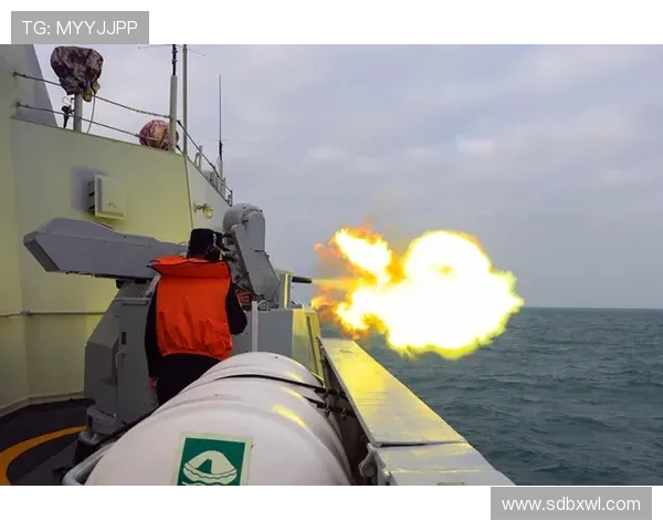 喷射机与南部鲨鱼的惊险对决谁能在海洋中称霸