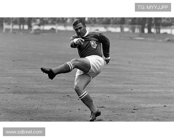 本泽马的传奇之路：从新星崛起到足坛巨星的辉煌历程