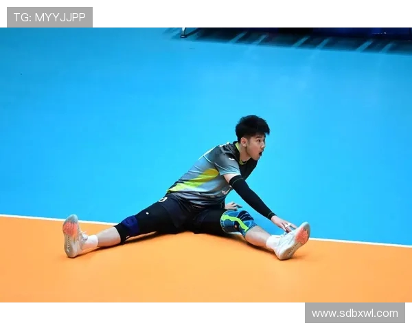 权威发布：2023年排球运动员耐力实力排行榜全面解读与分析