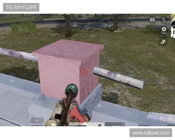 英雄联盟战术解析:WE战队防反体系的成功之道与实战应用 英雄联盟战术解析:WE战队防反体系的成功之道与实战应用