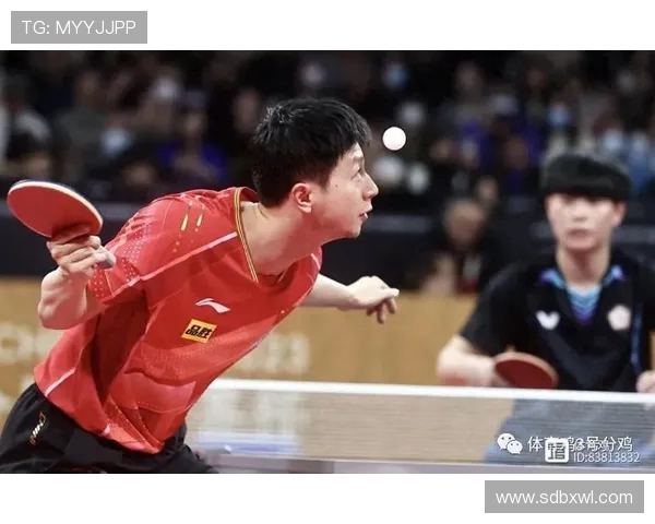 上海乒乓球队在世界杯中的灵活性表现与战术创新分析 上海乒乓球队在世界杯中的灵活性表现与战术创新分析