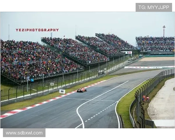 上海排球队的速度之美与战术解析全面探讨