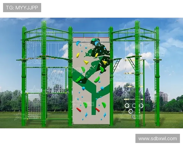 广州攀岩队战术解析与其他队伍的对比研究