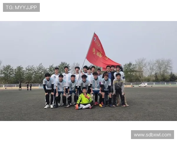 成都足球队的团队协作精神与战术配合探讨